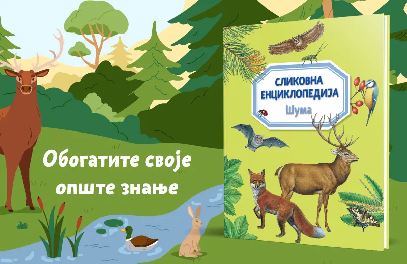 Savršena za sve male istraživače prirode: „Slikovna enciklopedija: Šuma“ u prodaji