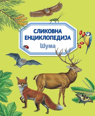 Slikovna enciklopedija – Šuma
