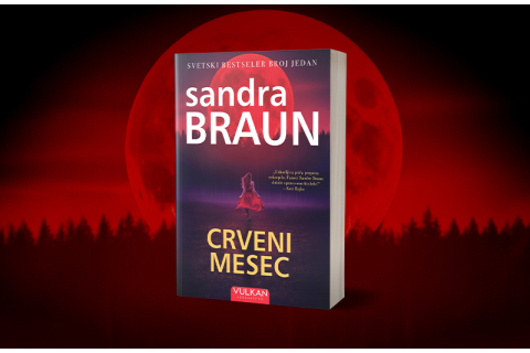 Ako volite priče u kojima opasnost i emocije idu ruku pod ruku ovo je roman za vas