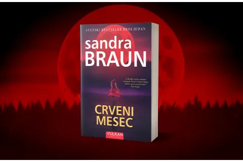 Ako volite priče u kojima opasnost i emocije idu ruku pod ruku ovo je roman za vas