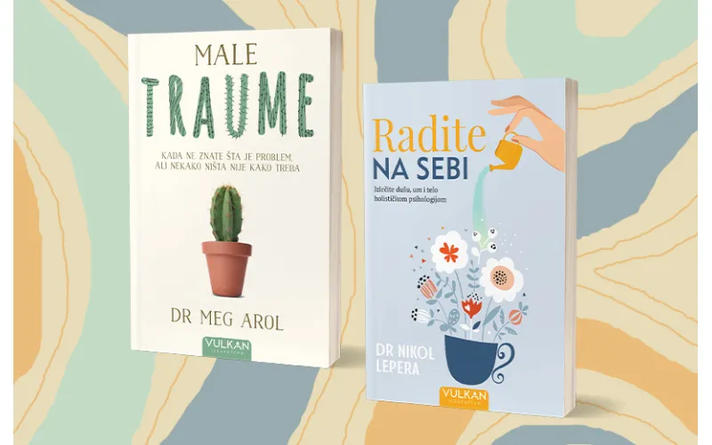 Holistički pristup mentalnom zdravlju i prepoznavanje malih trauma