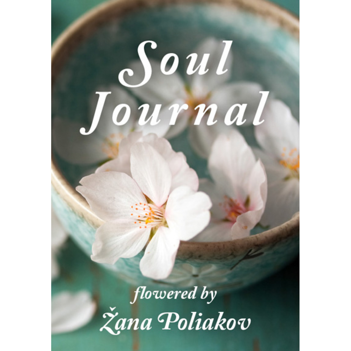 SOUL JOURNAL