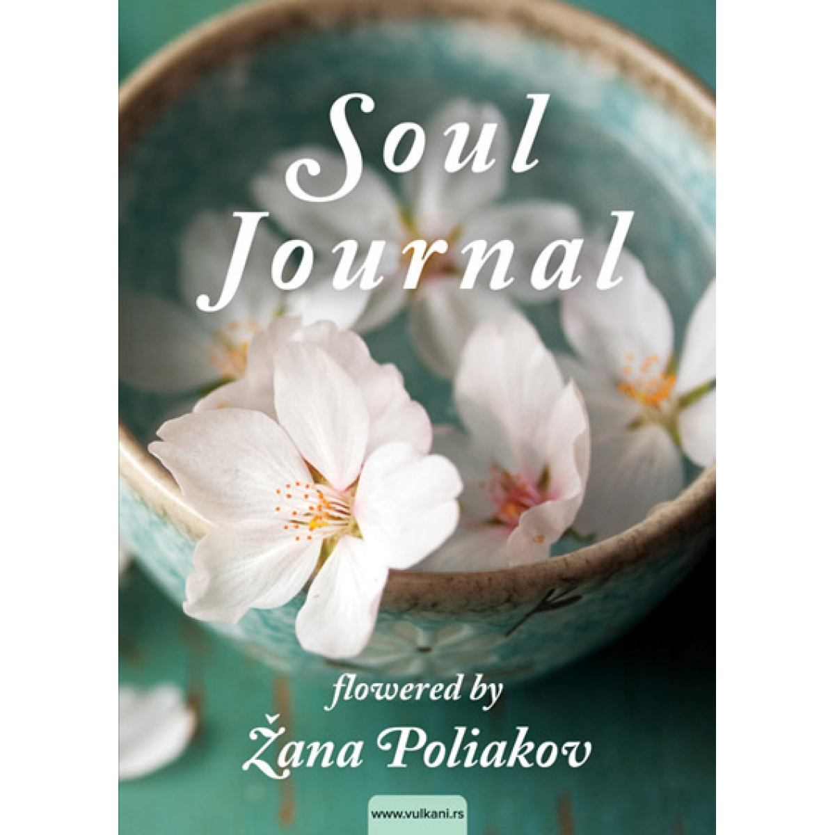 SOUL JOURNAL TP
