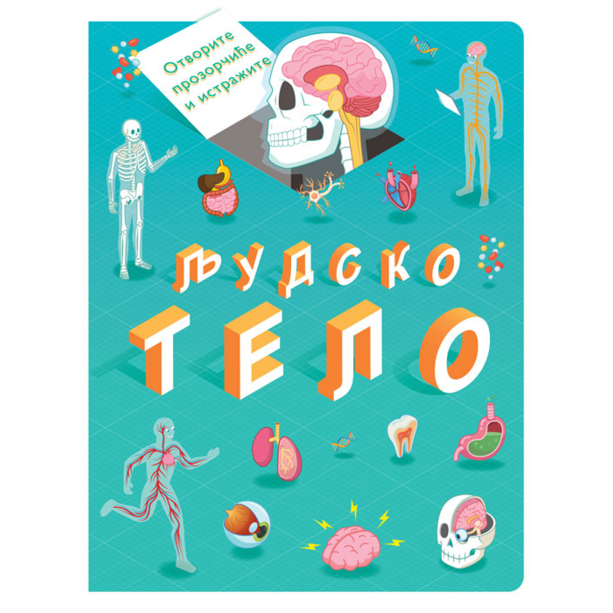 OTVORITE PROZORČIĆE I ISTRAŽITE: LJUDSKO TELO