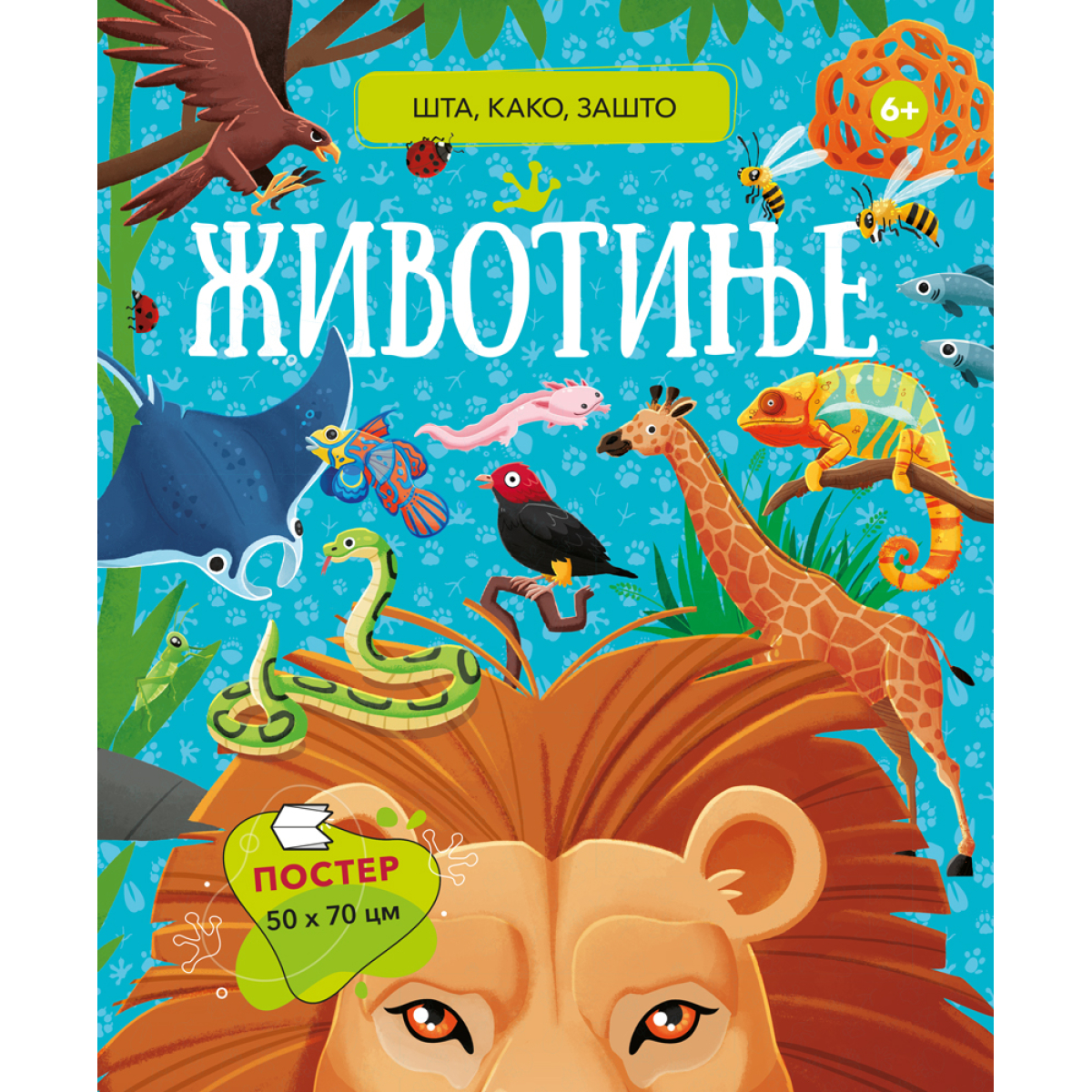 VULKANČIĆ PAKETIĆ - UZRAST 5-7 