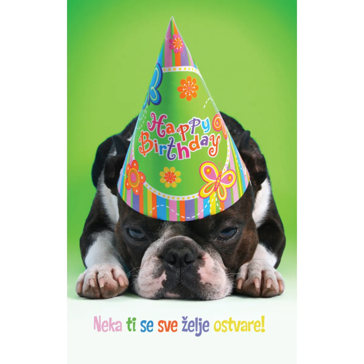 ČESTITKA - HAPPY BIRTHDAY - NEKA TI SE SVE ŽELJE OSTVARE 