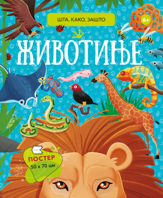 VULKANČIĆ PAKETIĆ - UZRAST 5-7 