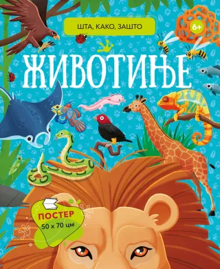 VULKANČIĆ PAKETIĆ - UZRAST 5-7 