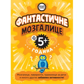 MUDRE GLAVICE: FANTASTIČNE MOZGALICE ZA DECU OD 5+ GODINA 
