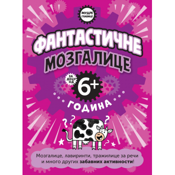 MUDRE GLAVICE: FANTASTIČNE MOZGALICE ZA DECU OD 6+ GODINA 