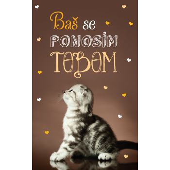 ČESTITKA - Baš se ponosim tobom 