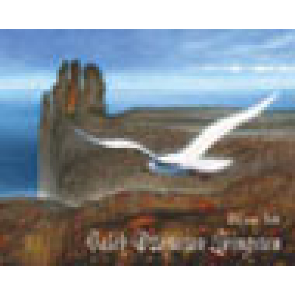 GALEB DŽONATAN LIVINGSTON 
