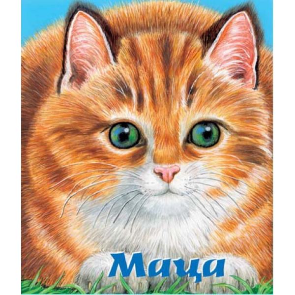 MACA 