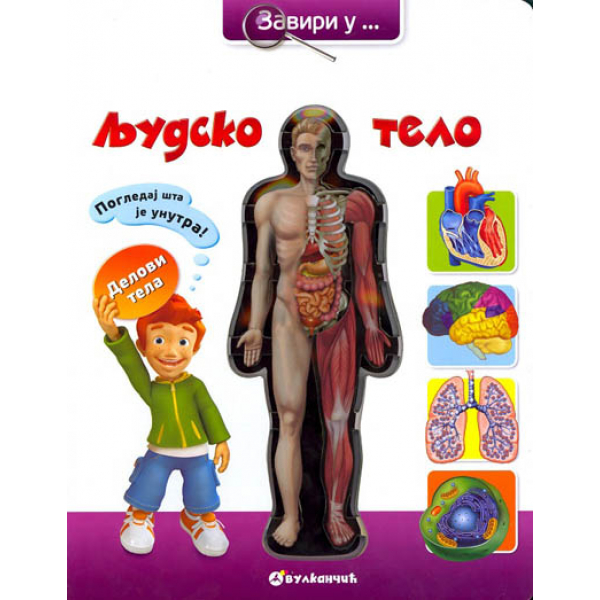 ZAVIRI U LJUDSKO TELO